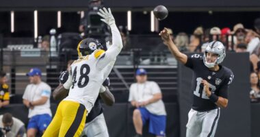 Steelers Bring Back Ade Ogundeji, Sign LB Craig Young