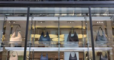 Stock of Michael Kors owner Capri dives after judge blocks merger with Tapestry