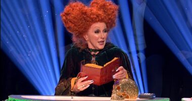 Strictly Come Dancing fans all shared the same complaint over Shirley Ballas ' Halloween costume during Saturday night's spooky special