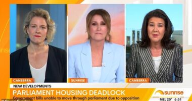 Nat Barr has been called out by some Sunrise viewers after she said she was concerned about her adult sons buying a home amid Australia's housing crisis, while speaking to guests Housing Minister Clare O'Neil (left) and Opposition finance spokeswoman Senator Jane Hume (right)