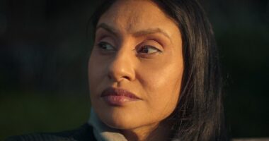 In a new Netflix documentary out today, titled Sweet Bobby: My Catfish Nightmare, Kirat recounted the elaborate deceit she was embroiled in