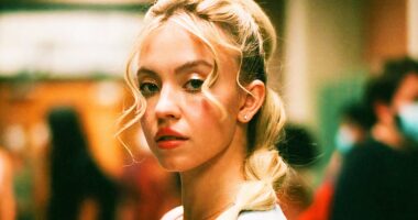 Sydney Sweeney & Amanda Seyfriend To Star In New Thriller From Bridesmaids Director