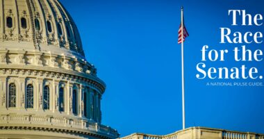 THE RACE FOR THE SENATE: A Top 10 Guide.