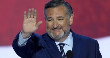 Ted Cruz Leaves Colin Allred's Campaign in Shambles With Masterful Debate Performance – RedState