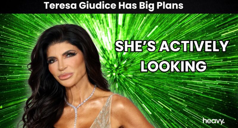 Teresa Giudice Hopes to Open Restaurant Amid RHONJ Break