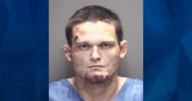 Texas Man Charged With Stabbing His 68-Year-Old Mother to Death