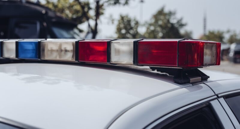 Texas Woman Charged After 1-Year-Old Mauled To Death By Pit Bulls Allegedly Left Unattended Jiryiah Johnson Heather Rodriguez