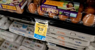 The Fed is betting that inflation is easing. Don’t fight the Fed.