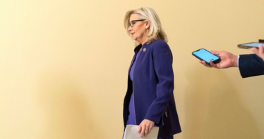 The Harris Coalition Is Bizarre – HotAir