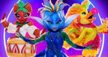 The Masked Singer Season 12: Every Celebrity Reveal