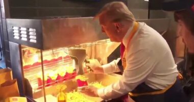 The McDonald's Trump Visited Had to Hire Security After Violent, Left-Wing Threats.
