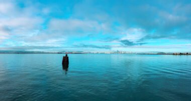 The Science of Happiness: Discovering the Keys to a Fulfilling Life