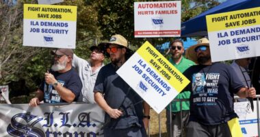 The U.S. port strike is over. This is what it means for transportation and shipping stocks.