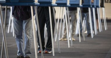 Voters casting ballots at an early polling location in Michigan on October 29. Nearly one in four voters said they have lied to someone close to them about who they are voting for