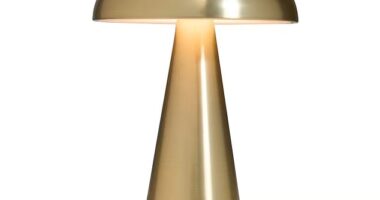 The Amiri portable rechargeable lamp ($17) has sent Aussies into a spin