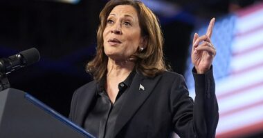 Green Party candidate Jill Stein has warned that Kamala Harris cannot win the White House and her followers have Democrats in swing state Wisconsin terrified