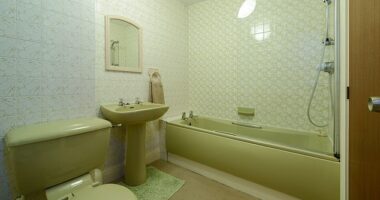 Even the most dreaded of 1970s design shockers, the avocado ­bathroom suite, is seeing an improbable renaissance