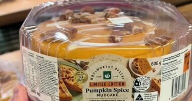 Australian supermarket shoppers are conflicted about the release of the brand new limited edition Woolworths mud cake - with many slamming the controversial flavour