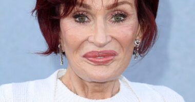 Pictured: Sharon Osbourne walking the red carpet at the Los Angeles premiere of The Bikeriders in June