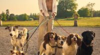 It was a scene in Rivals that made viewers' blood run cold when Dame Jilly Cooper¿s dark-haired lothario Rupert Campbell Black (Alex Hassell, pictured) put his hand up 19-year-old Taggie¿s skirt