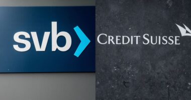 There are still banks prone to the runs that brought down SVB and Credit Suisse, regulators warn