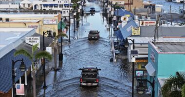 Think flood insurance is pricey now? Premium hikes were coming long before Hurricane Helene.
