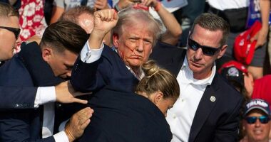 Republican candidate Donald Trump is seen with blood on his face surrounded by secret service agents as he is taken off the stage at a campaign event at Butler Farm Show Inc. in Butler, Pennsylvania, July 13, 2024. He will return to Butler on Saturday for a rally