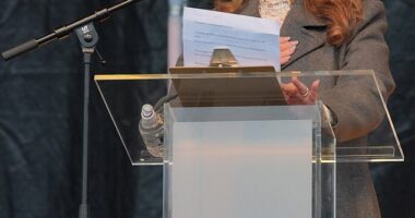 Actress Tracy-Ann Oberman (pictured) is among the thousands of pro-Israel demonstrators chanting 'bring them home' at a hostage remembrance event in London 's Hyde Park