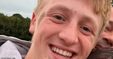 Jonty Parkinson died of a crush injury to his abdomen after being struck by a falling tree trunk