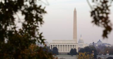 Treasury yields rising on potential ‘red wave’ election result that pushes up deficit