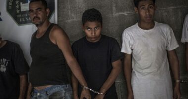 Trump Announces Program That Would Invoke 1798 Alien Enemies Act to Target Illegal Alien Gangs – RedState