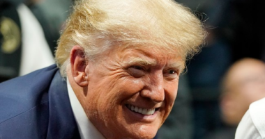 Trump May Just Have Best Troll of Kamala Ever