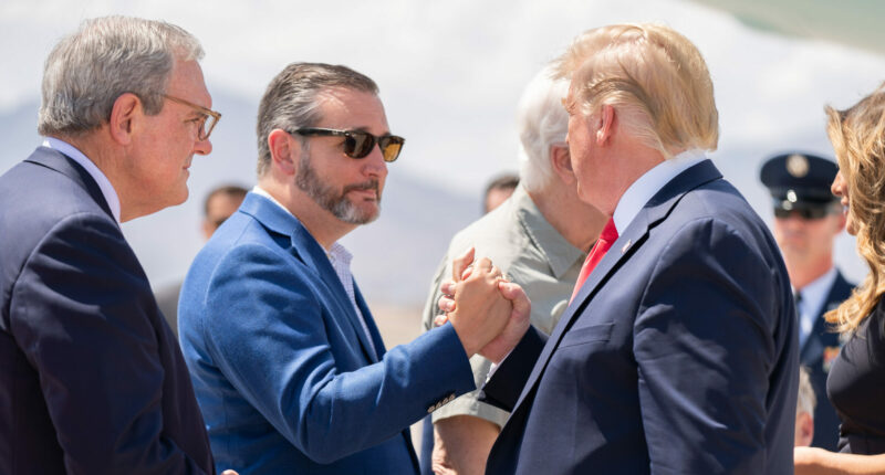 Trump Might Have to Bail Out Ted Cruz – Should He?