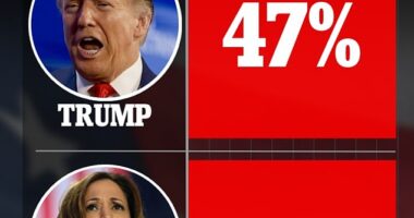 J.L. Partners polled 800 likely voters in Pennsylvania on their voting intention from Oct 5 to Oct 8 using a variety of methods. The results carry a 3.5 percent margin of error