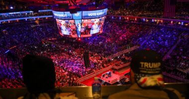 Trump and his friends smiled and partied at Madison Square Garden. Then they got mean