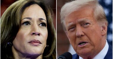 Trump challenges Harris to take cognitive test as candidates head to Pennsylvania in sprint to election day: Live updates