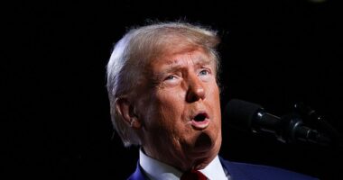 Donald Trump hammered Kamala Harris for her border security and immigration plans in front of thousands in Arizona Thursday, saying she's made the U.S. a human 'dumping ground.'