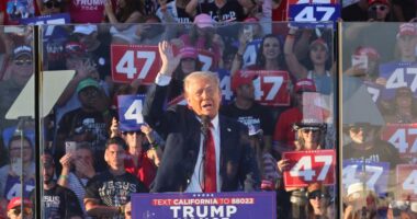 Trump heckler removed from Coachella rally while he insults Biden and praises ‘fierce’ Xi Jinping: Live