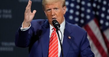 Trump ignores polls and says he believes immigration, not the economy, is top issue for US