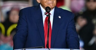 Trump was speaking to thousands of fans gathered in Allentown, Pennsylvania, Tuesday evening