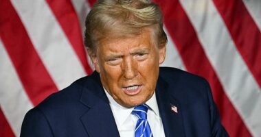 'They really owed me an apology': Donald Trump said CBS should apologize for an exchange about Hunter Biden's infamous laptop, after the network said he cancelled a scheduled appearance on the show