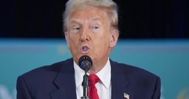 Former President Donald Trump demanded that the 'fake news' media interview Vice President Kamala Harris' 86-year-old father