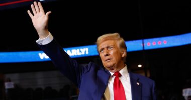 Trump swaps swing states for Madison Square Garden rally in NYC; Harris and Walz announce battleground blitz: Live