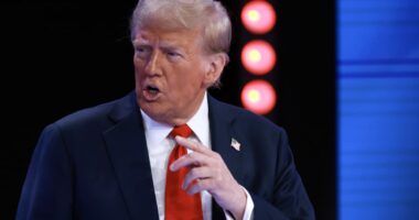 Trump tariffs: These states would be hit hardest by proposed import taxes