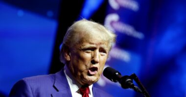 Trump tariffs: Why stock-market investors are underrating impact