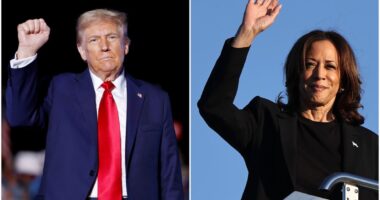 Trump to rally in Wisconsin as Harris, Walz set for media blitz with just 30 days until election: Live updates