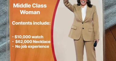 Tuesday Was a Microcosm of Everything Wrong with the Democrats' Closing Pitch – HotAir