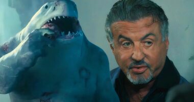 Tulsa King Gave Sylvester Stallone His Funniest Character Since This 2021 Superhero Movie