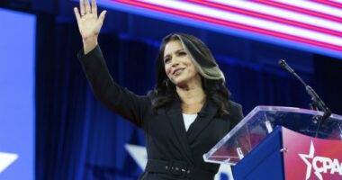 Tulsi Gabbard Makes Huge Announcement at Trump Rally in Greensboro – RedState