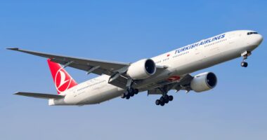 Ilcehin Pehlivan, Turkish Airlines Pilot, Reportedly Passes Away Mid-Flight Following Takeoff From Seattle